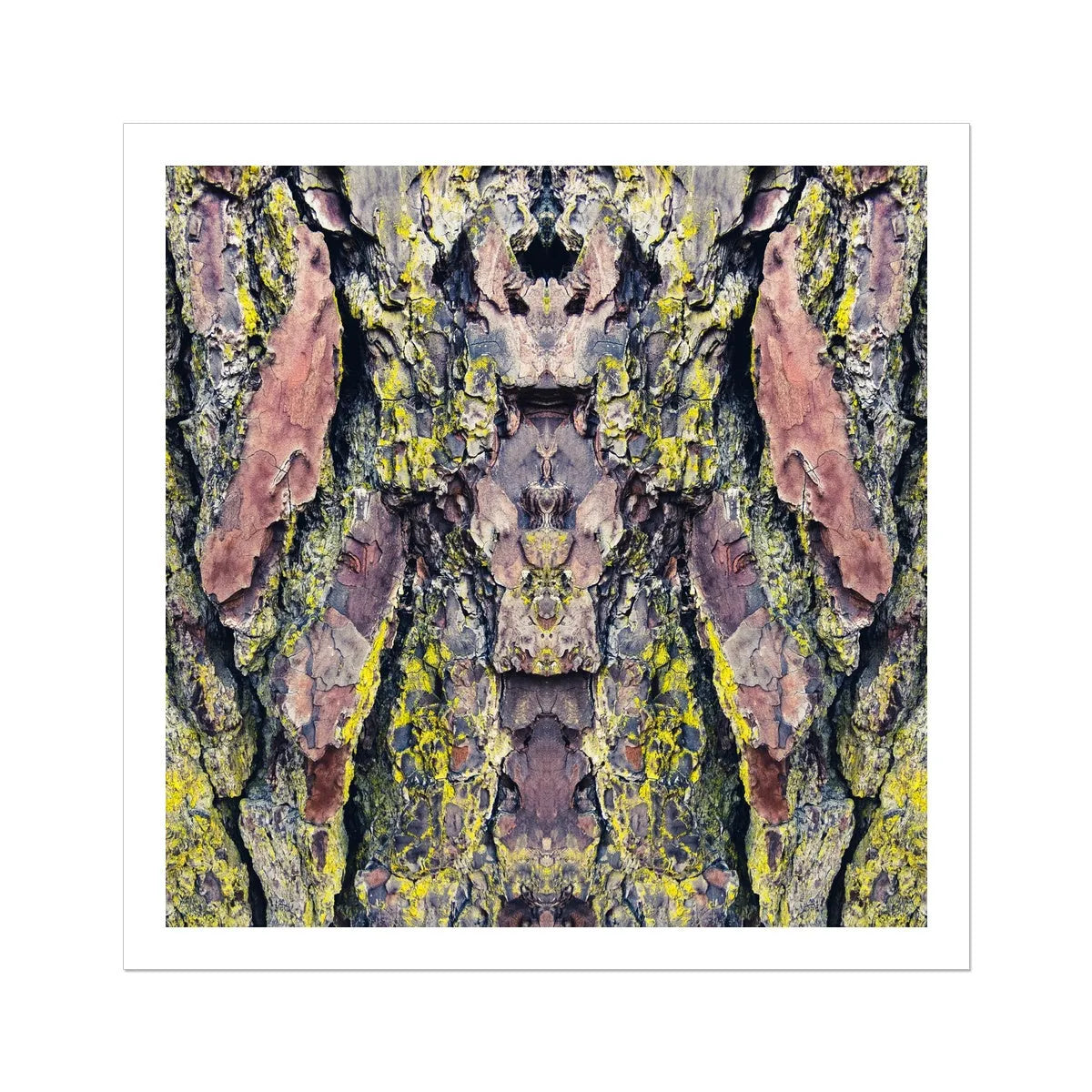 Barking Mad Too Tree Trunk Art - Modern Botanical Prints - 30’x30’ - Posters Prints & Visual Artwork - Aesthetic Art