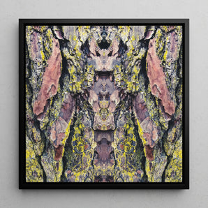 Barking Mad too - Trippy Tree Art Framed Canvas, 12x12’’ / 31x31cm / Black Floating Frame, Abstract Symmetrical Artwork Textured Tree Bark