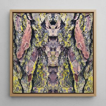 Barking Mad too - Trippy Tree Art Framed Canvas, 12x12’’ / 31x31cm / Natural Floating Frame, Framed Canvas Print Mirrored Abstract Pattern