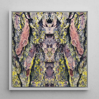 Barking Mad too - Trippy Tree Art Framed Canvas, 12x12’’ / 31x31cm / White Floating Frame, Symmetrical Tree Bark Art