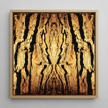 Barking Mad - Trippy Tree Trunk Art Framed Canvas, 12x12’’ / 31x31cm / Natural Floating Frame, Framed Piece Abstract Artwork Golden Tree
