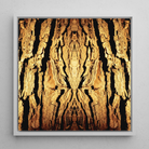 Barking Mad - Trippy Tree Trunk Art Framed Canvas, 12x12’’ / 31x31cm / White Floating Frame, Symmetrical Golden Bark Pattern
