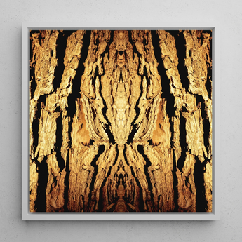 Barking Mad - Trippy Tree Trunk Art Framed Canvas, 12x12’’ / 31x31cm / White Floating Frame, Symmetrical Golden Bark Pattern