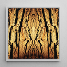 Barking Mad - Trippy Tree Trunk Art Framed Canvas, Symmetrical Golden Bark Pattern