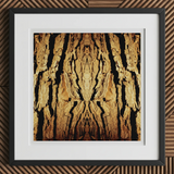 Barking Mad - Trippy Tree Trunk Art Print, 12x12’’ / 31x31cm / Black Frame / 2’’ Matboard, Framed Abstract Art Print Mirrored Pattern