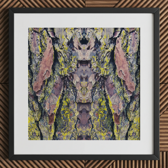 Barking Mad too - Trippy Tree Trunk Art Print, 12x12’’ / 31x31cm / Black Frame / 2’’ Matboard, Posters Prints & Visual Artwork, Toby Leon