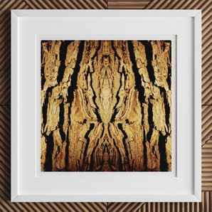 Barking Mad - Trippy Tree Trunk Art Print, 12x12’’ / 31x31cm / White Frame / 2’’ Matboard, Framed Abstract Art Print Symmetrical Pattern