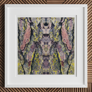 Barking Mad too - Trippy Tree Trunk Art Print, 12x12’’ / 31x31cm / White Frame / 2’’ Matboard, Framed Square Abstract Art Print Mirrored