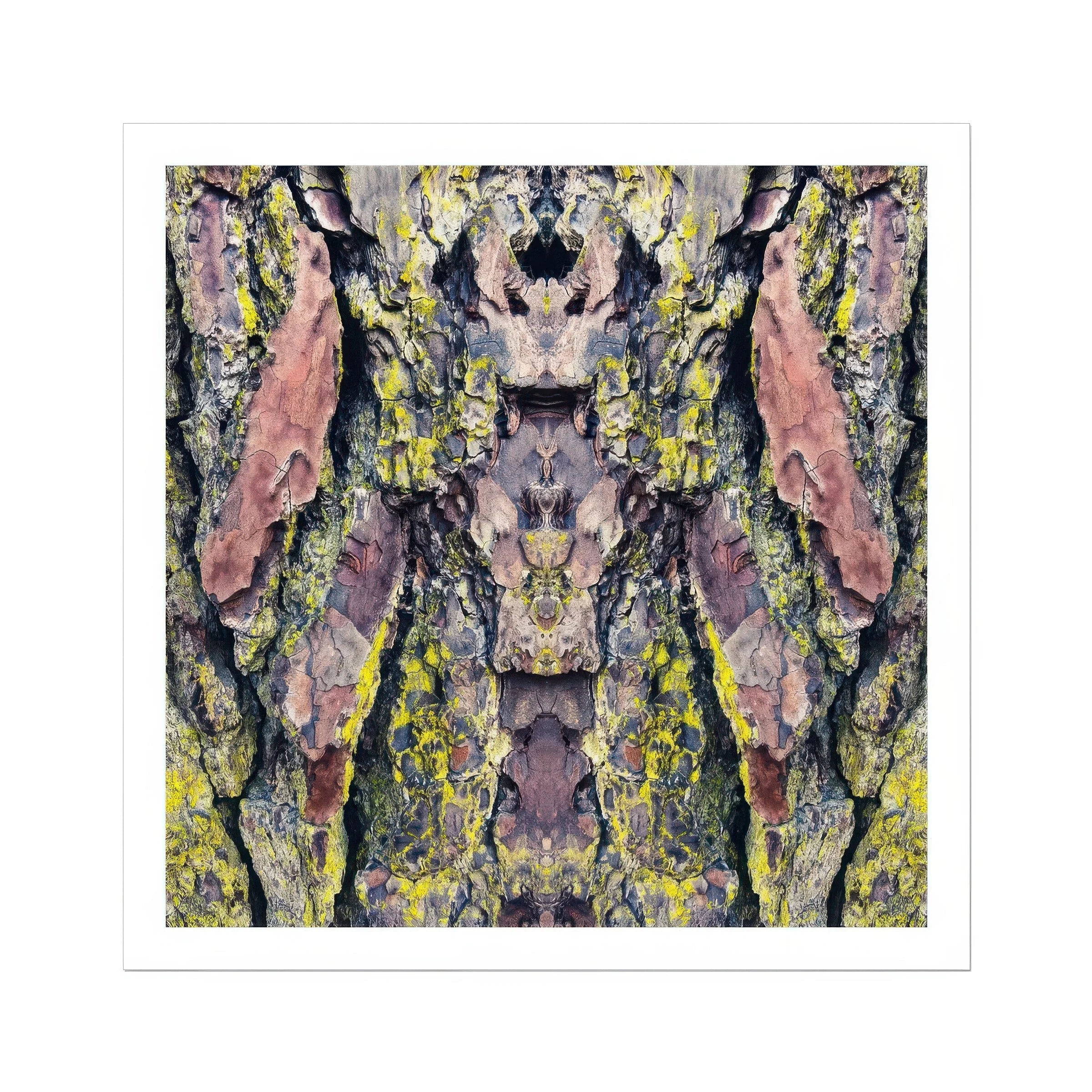 Barking Mad too - Trippy Tree Trunk Art Print Posters Prints & Visual Artwork