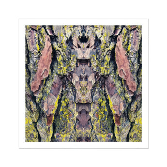 Barking Mad too - Trippy Tree Trunk Art Print, Tree Bark Pink Yellow Gray Lichen Patterns Arranged