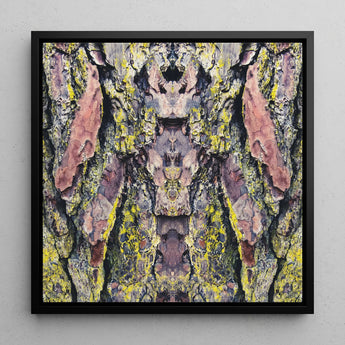 Barking Mad too - Trippy Baumstamm-Kunstdruck / Leinwand, 12x12’’ / 31x31cm / Schwarzer Rahmen, Poster Drucke & visuelle Kunstwerke, Toby Leon