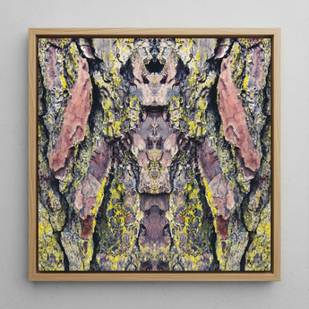 Barking Mad too - Trippy Baumstamm-Kunstdruck / Leinwand, 12x12’’ / 31x31cm / Naturrahmen, Poster Drucke & visuelle Kunstwerke, Toby Leon