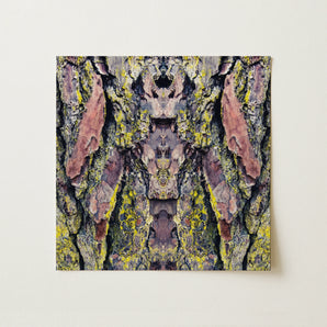 Barking Mad too - Trippy Tree Trunk Art Print / Canvas, 12x12’’ / 31x31cm / Unframed / no Border, Posters Prints & Visual Artwork, Toby Leon