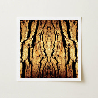 Barking Mad - Trippy Tree Trunk Art Print / Canvas Square-framed Symmetrical Mirrored Textured Bark, Australian, Mesmerizing Abstract Prints
