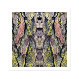 Barking Mad too - Trippy Tree Trunk Art Print / Canvas Tree Bark Pink Yellow Gray Lichen Patterns Arranged Barking Mad Transports, Nature’s