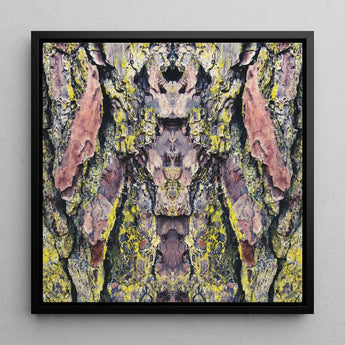 Barking Mad too - Trippy Tree Trunk Art Print / Canvas Square-framed Abstract Artwork Symmetrical Kaleidoscopic Pattern Tree Bark Barking
