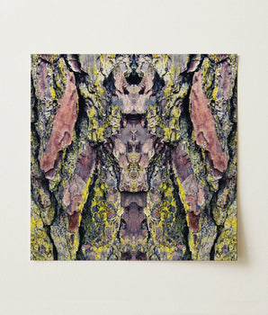 Square Canvas Print Symmetrical Abstract Design Tree Bark Barking Mad Transports, Nature’s Textures Dance, Kaleidoscopic Realm