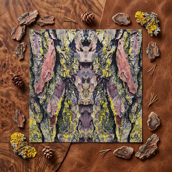 Barking Mad too - Trippy Tree Trunk Art Print / Canvas Square Art Print Symmetrical Abstract Design Tree Bark Barking Mad Transports,