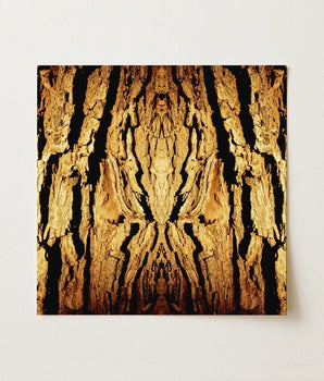 Square Canvas Print Symmetrical Mirrored Design Textured Tree Trippy Trunk, Australian, Mesmerizing Abstract