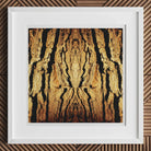 Barking Mad - Trippy Tree Trunk Art Print - 12’’x12’’ / Unframed