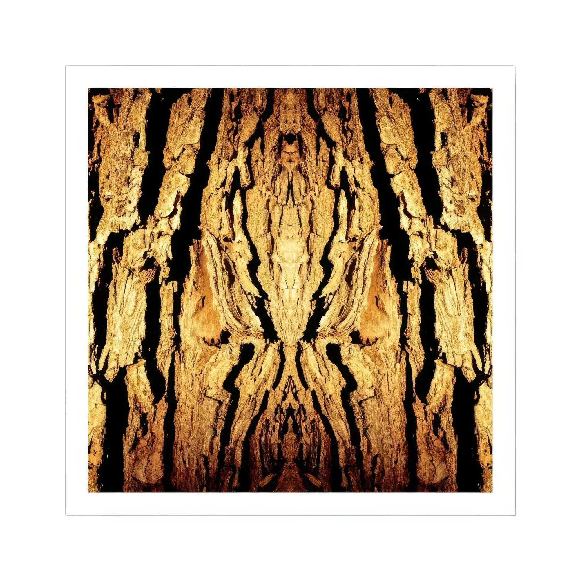 Barking Mad - Trippy Tree Trunk Art Print Posters Prints & Visual Artwork