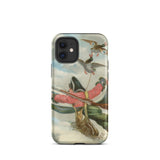 Baron Munchausen - Alphonse Adolphe Bichard Iphone Case, 12 Mini / Matte, Iphone Case Whimsical Illustration Hunter Carried Ducks