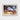 Framed Painting Sunlit Beach Scene Figures Trees Light John Singer Sargent, Sun-drenched Fever Dream, Gay