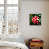 Belle of the Ball - Flame Tree of the Woods Framed Canvas, Pink Hydrangea Flower Surrounded Green Leaves Square Frame