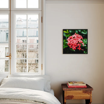 Belle of the Ball - Flame Tree of the Woods Framed Canvas, Pink Hydrangea Flower Surrounded Green Leaves Square Frame
