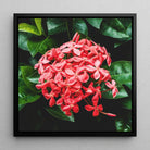 Belle of the Ball - Flame Tree of the Woods Framed Canvas