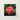 Framed Photograph Vibrant Cluster Pink Ixora Flowers Surrounded Chinese, Flame Tree, Nature’s Untamed Vibrancy