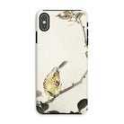 Bird on Branch Ohara Koson Shin Hanga Iphone Case, Xs Max / Matte, Phone Case Delicate Painting Bird Perched Branch