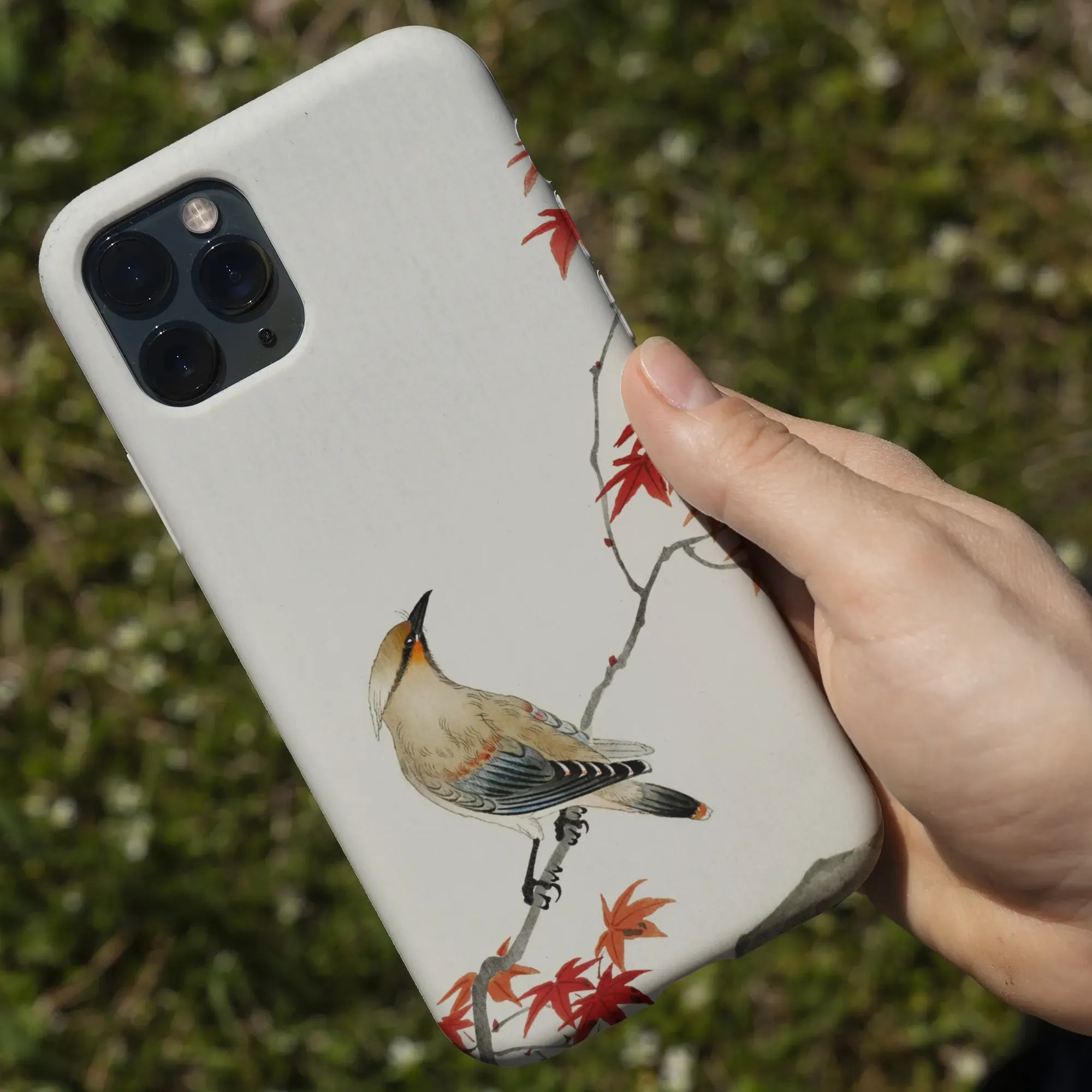 Bird On Maple - Japanese Kachō-e Phone Case - Ohara Koson - Mobile Phone Cases - Aesthetic Art