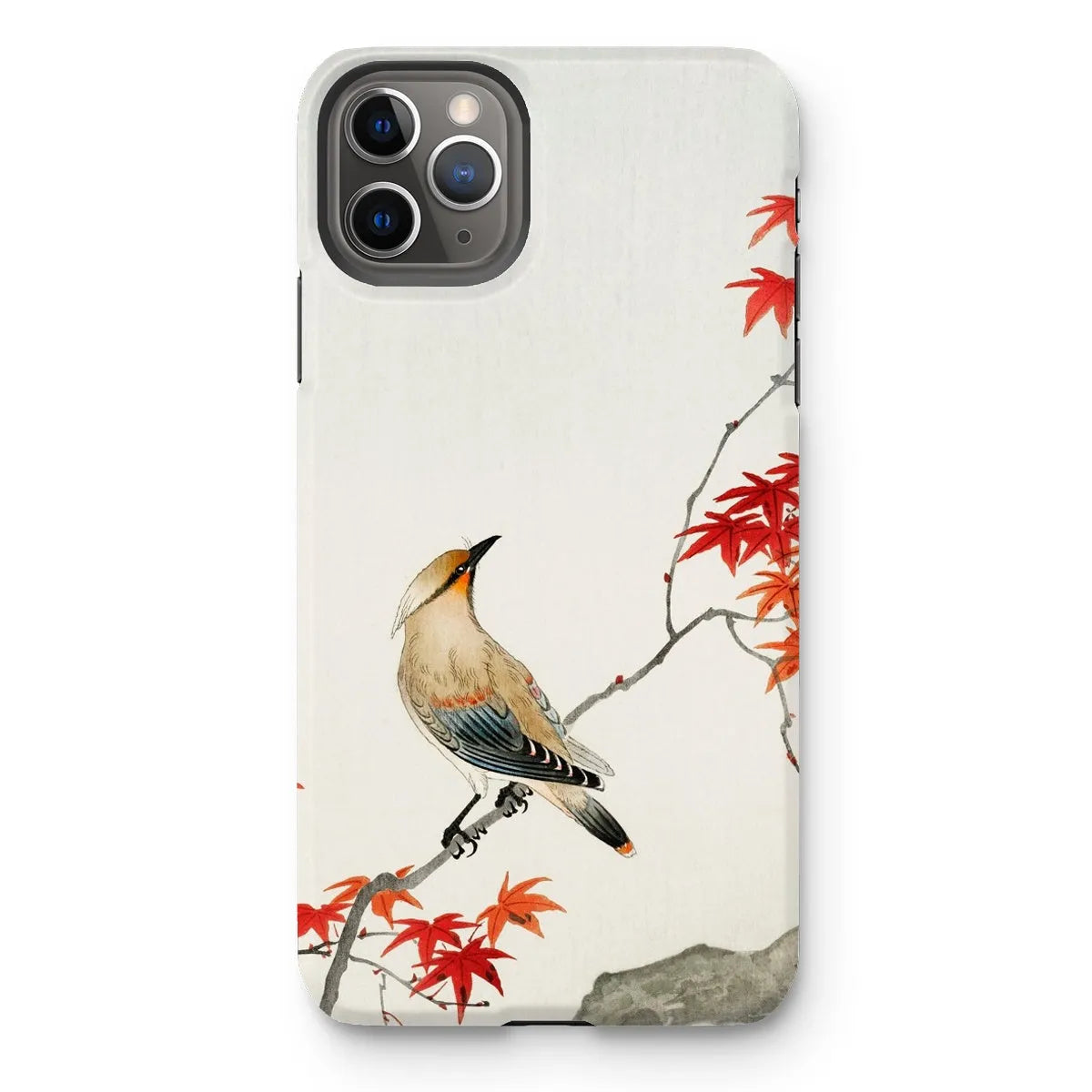 Bird On Maple - Japanese Kachō-e Phone Case - Ohara Koson - Iphone 11 Pro Max / Matte - Mobile Phone Cases - Aesthetic