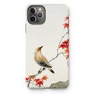 Bird on Maple - Ohara Koson Kachō-e Iphone Case, 11 Pro Max / Matte, Iphone Case Traditional Asian-style Painting Bird Perched Branch