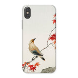 Bird on Maple - Ohara Koson Kachō-e Iphone Case, x / Matte, Phone Case Traditional Asian-style Painting Bird Perched Branch