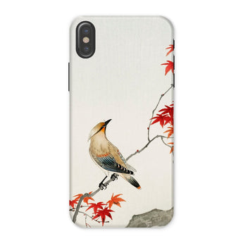 Bird on Maple - Ohara Koson Kachō-e Iphone Case, x / Matte, Phone Case Traditional Asian-style Painting Bird Perched Branch