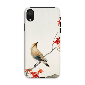 Bird on Maple - Ohara Koson Kachō-e Iphone Case, Xr / Matte, Phone Case Painting Bird Perched Branch Red Maple