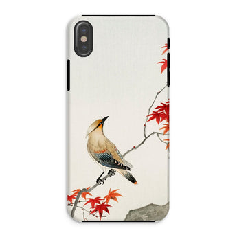 Bird on Maple - Ohara Koson Kachō-e Iphone Case, Xs / Matte, Phone Case Traditional Asian-style Painting Bird Perched Branch