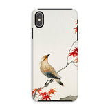 Bird on Maple - Ohara Koson Kachō-e Iphone Case, Xs Max / Matte, Phone Case Traditional Asian-style Painting Bird Perched Branch