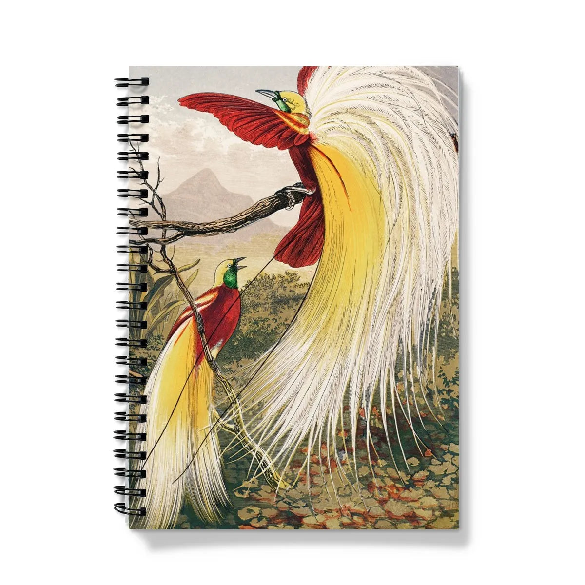 Bird Of Paradise - Animal Art Notebook - Benjamin Fawcett - A5 / Graph - Notebooks & Notepads - Aesthetic Art