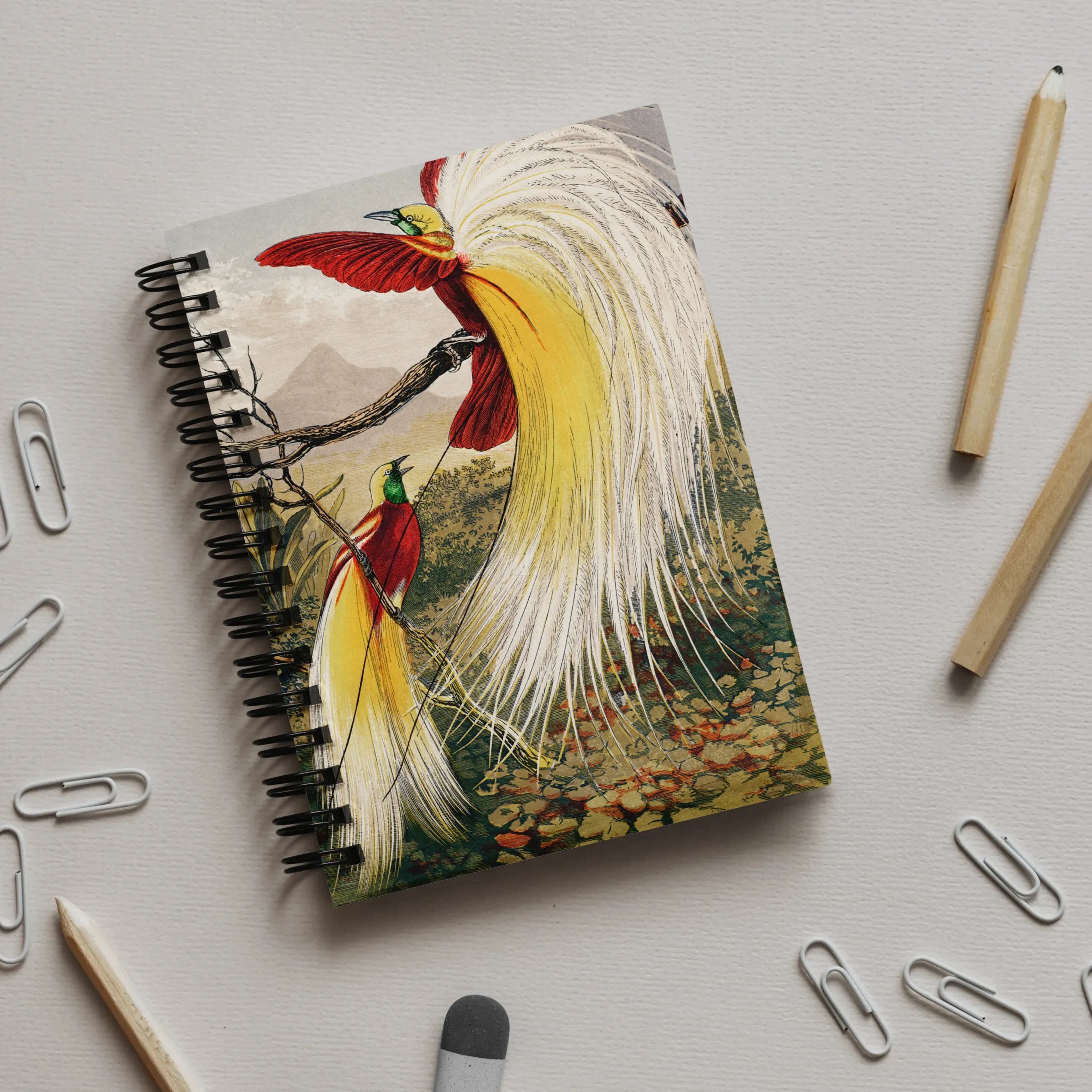 Bird Of Paradise - Animal Art Notebook - Benjamin Fawcett - Notebooks & Notepads - Aesthetic Art