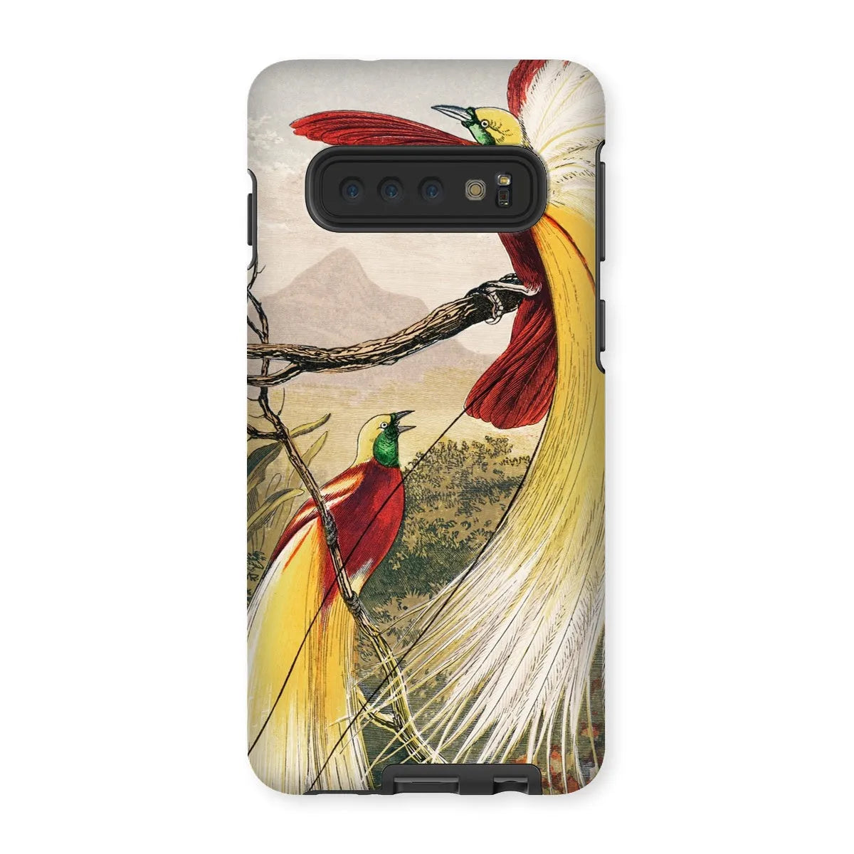 Bird Of Paradise - Animal Art Phone Case - Benjamin Fawcett - Samsung Galaxy S10 / Matte - Mobile Phone Cases