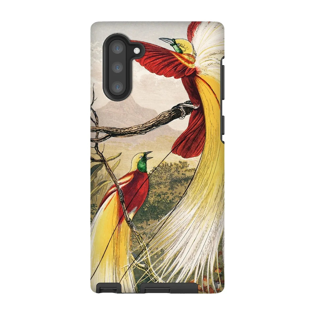 Bird Of Paradise - Animal Art Phone Case - Benjamin Fawcett - Samsung Galaxy Note 10 / Matte - Mobile Phone Cases