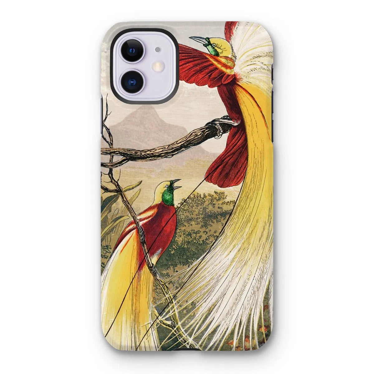 Bird Of Paradise - Animal Art Phone Case - Benjamin Fawcett - Iphone 11 / Matte - Mobile Phone Cases - Aesthetic Art