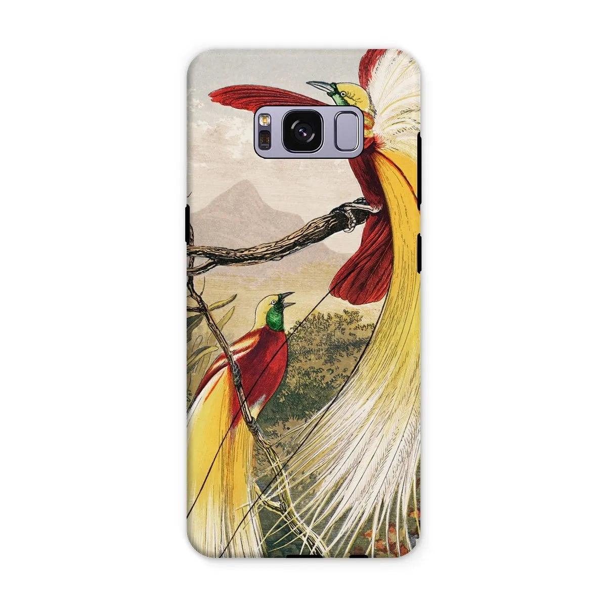 Bird Of Paradise - Animal Art Phone Case - Benjamin Fawcett - Samsung Galaxy S8 Plus / Matte - Mobile Phone Cases