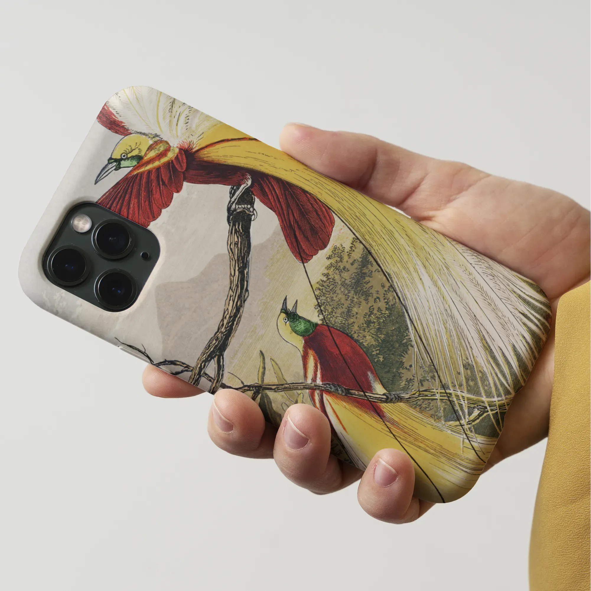 Bird Of Paradise - Animal Art Phone Case - Benjamin Fawcett - Mobile Phone Cases - Aesthetic Art