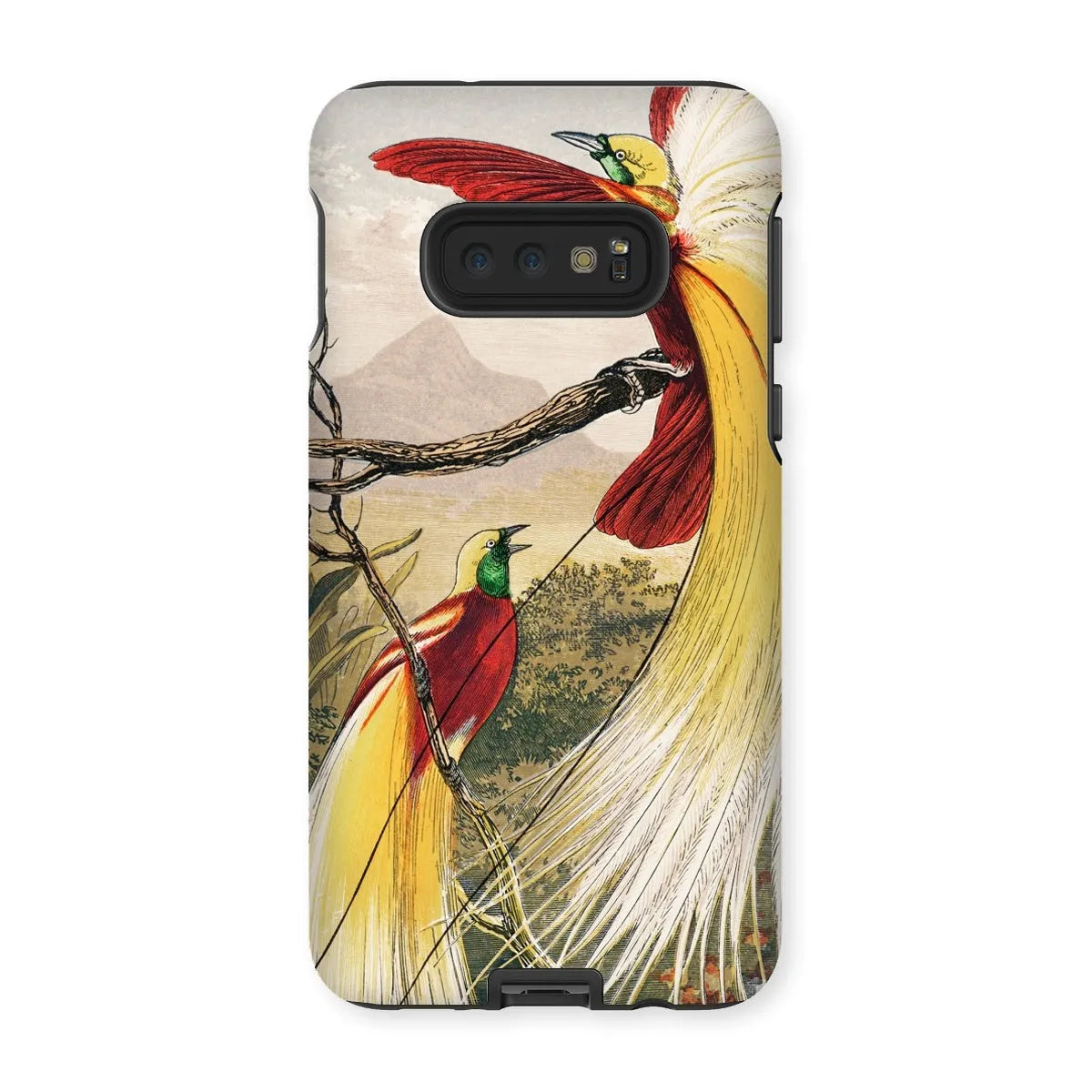 Bird Of Paradise - Animal Art Phone Case - Benjamin Fawcett - Samsung Galaxy S10e / Matte - Mobile Phone Cases