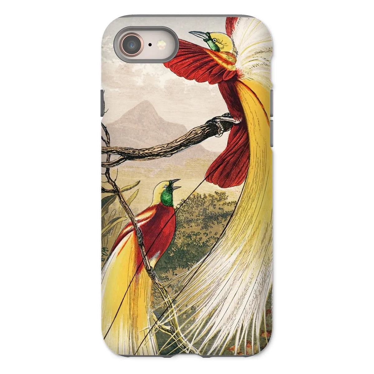 Bird Of Paradise - Animal Art Phone Case - Benjamin Fawcett - Iphone 8 / Matte - Mobile Phone Cases - Aesthetic Art