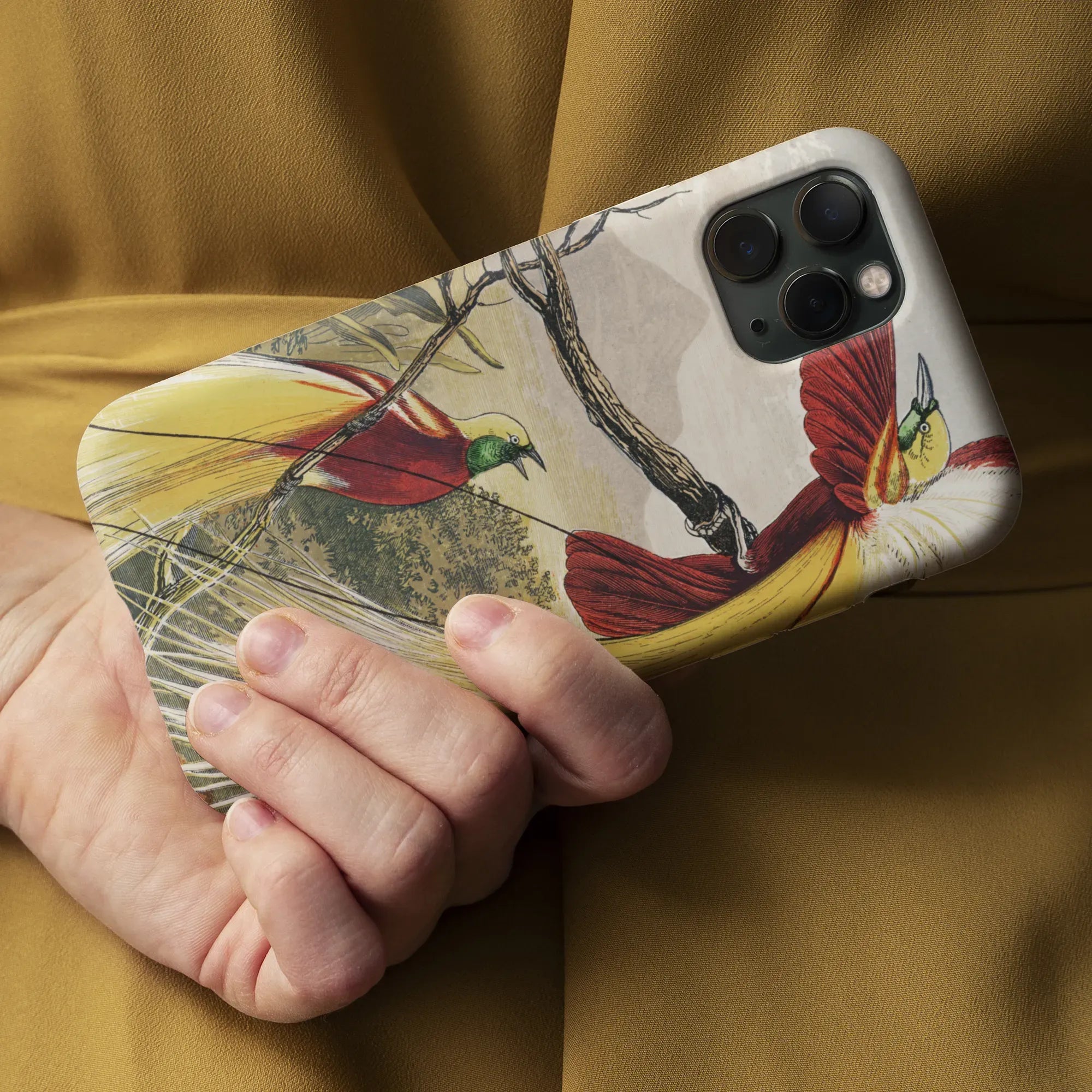 Bird Of Paradise - Animal Art Phone Case - Benjamin Fawcett - Mobile Phone Cases - Aesthetic Art